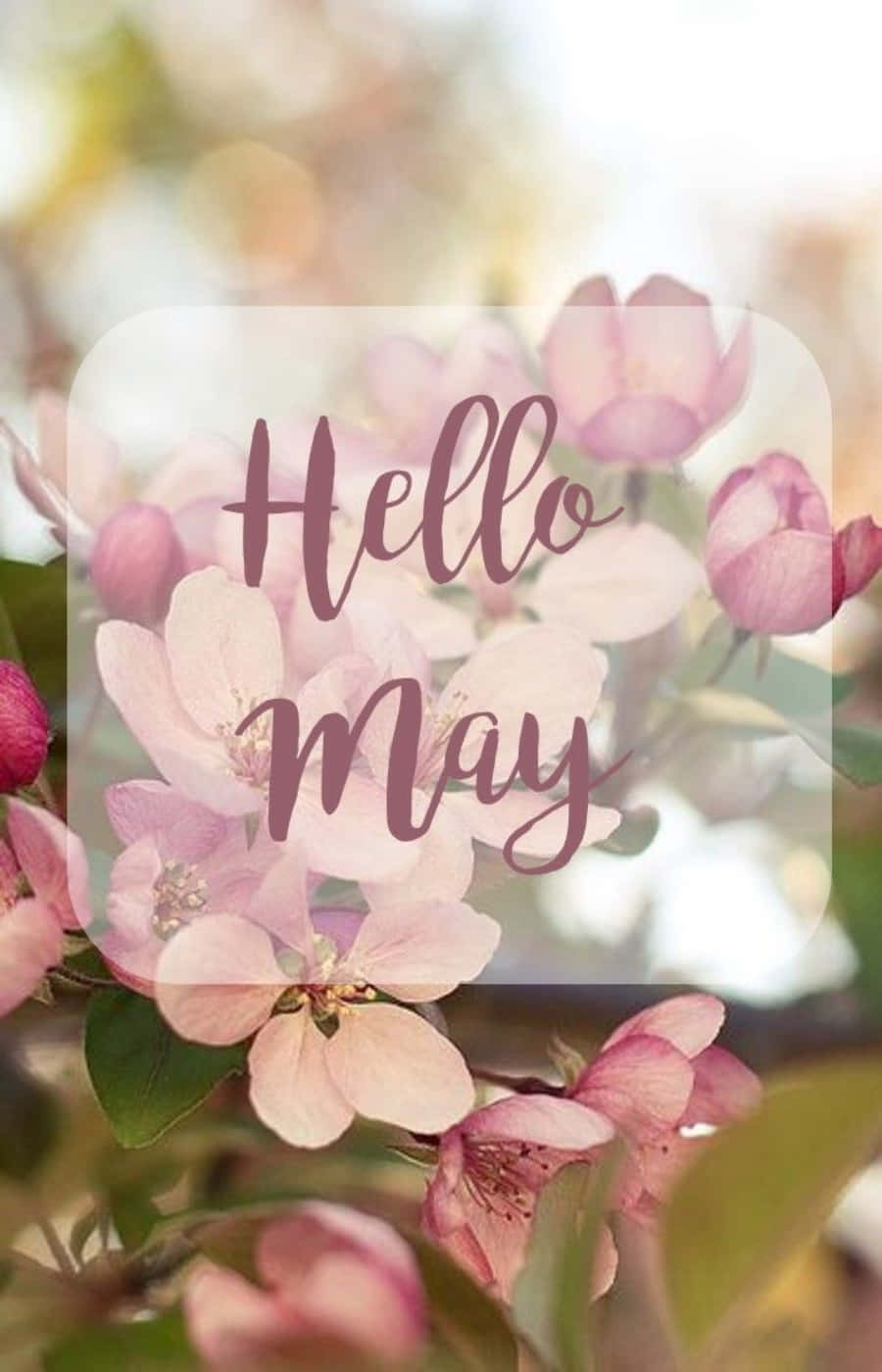 Hello May Images – Browse 12,976 Stock Photos, Vectors, and Video | Adobe  Stock