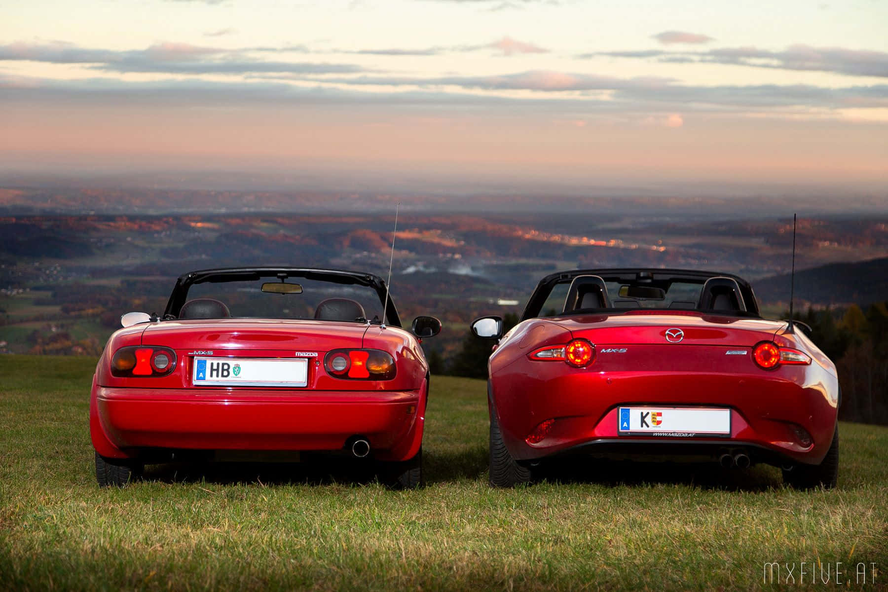 To røde sportsbiler parkeret på et græsagtigt felt Wallpaper