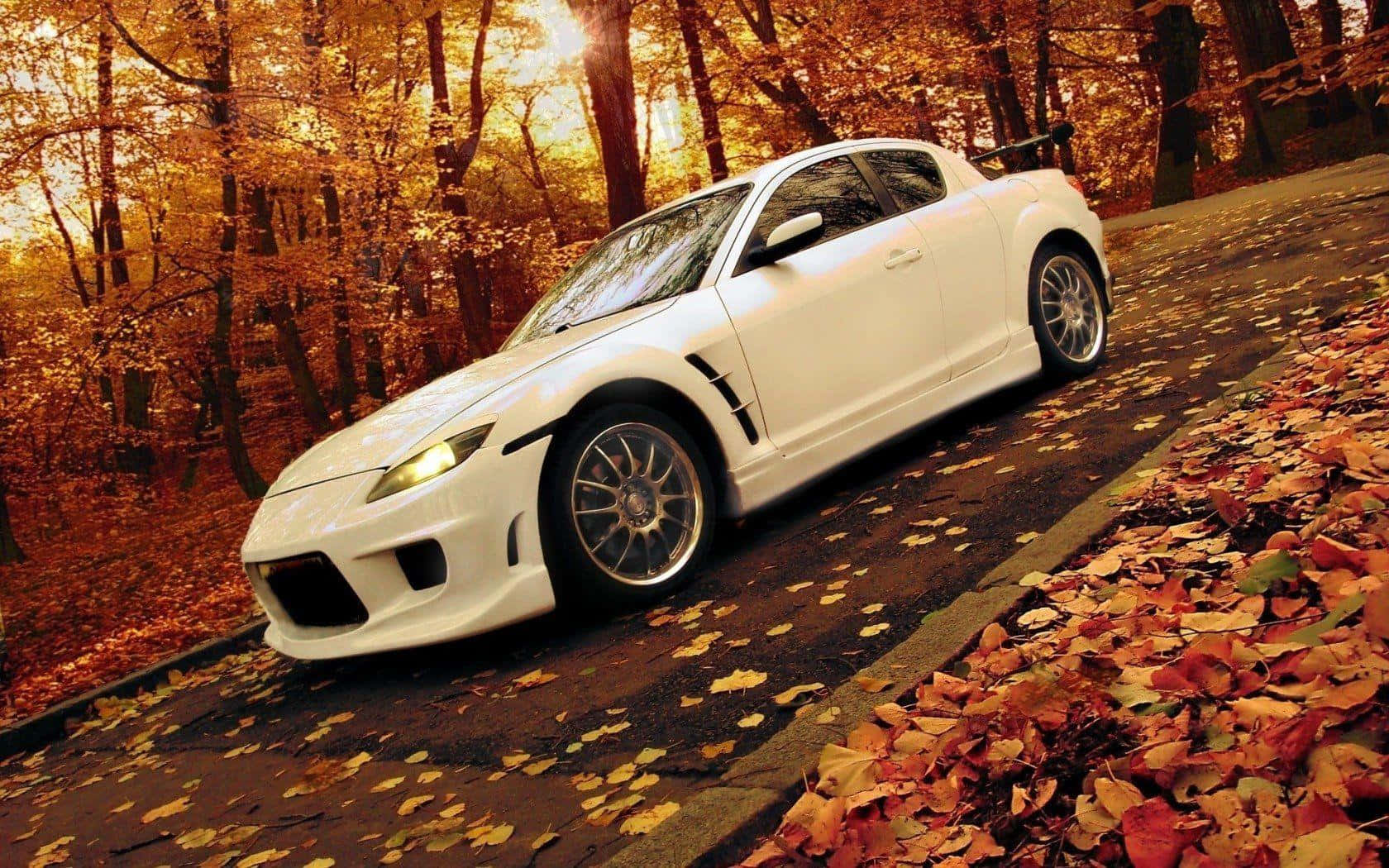 Mazda RX-8: A Perfect Blend of Performance and Elegance Wallpaper