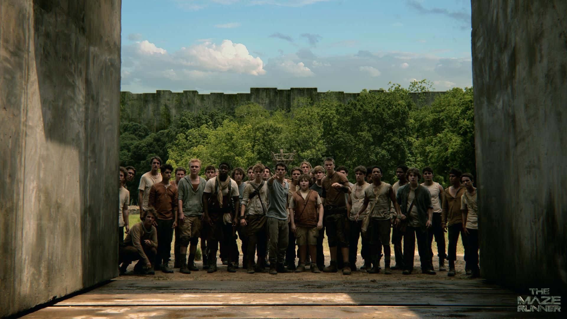 Group of Maze Runner Heroes in Action