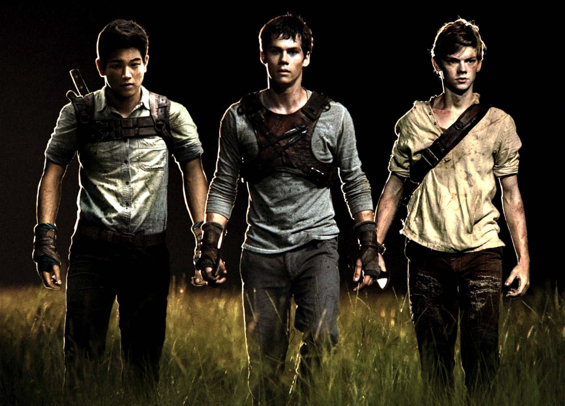 Thomas and fellow Gladers facing the challenges of the Maze