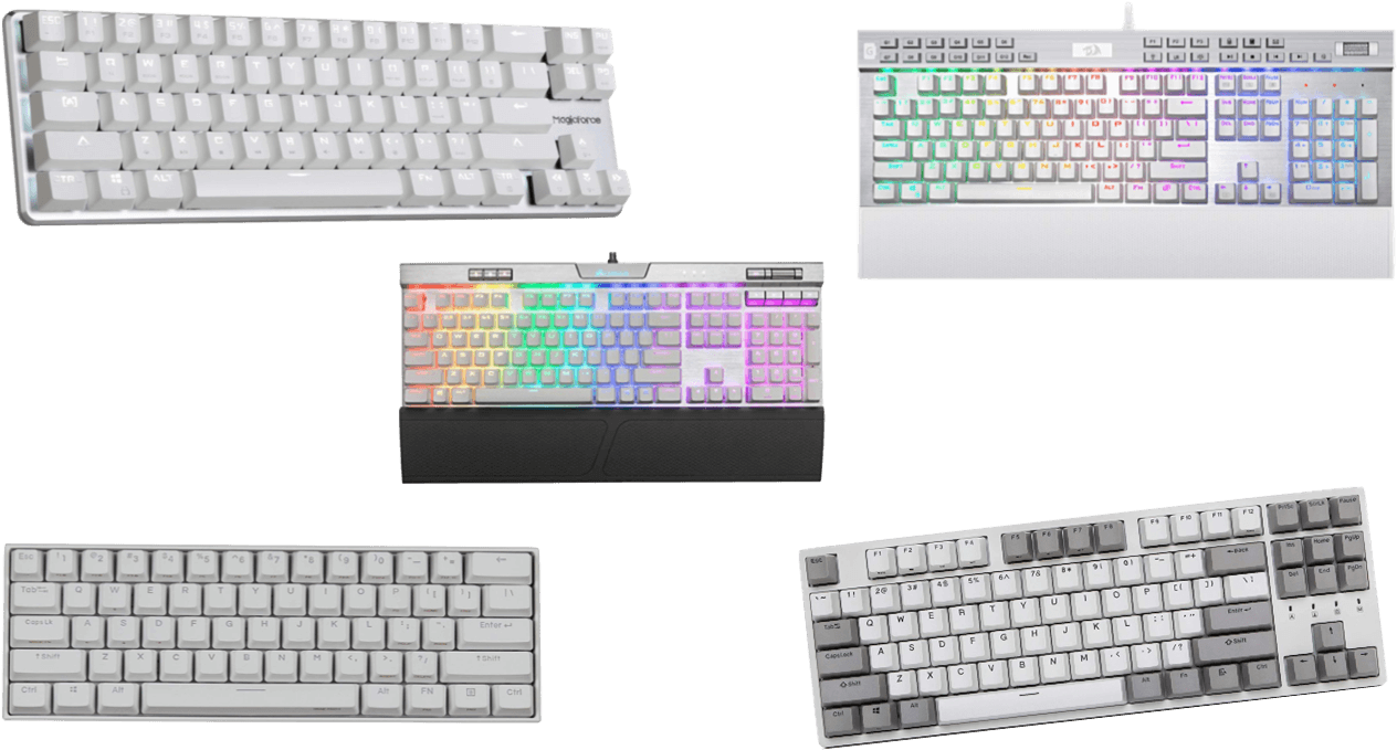 Mechanical Keyboards Variety PNG