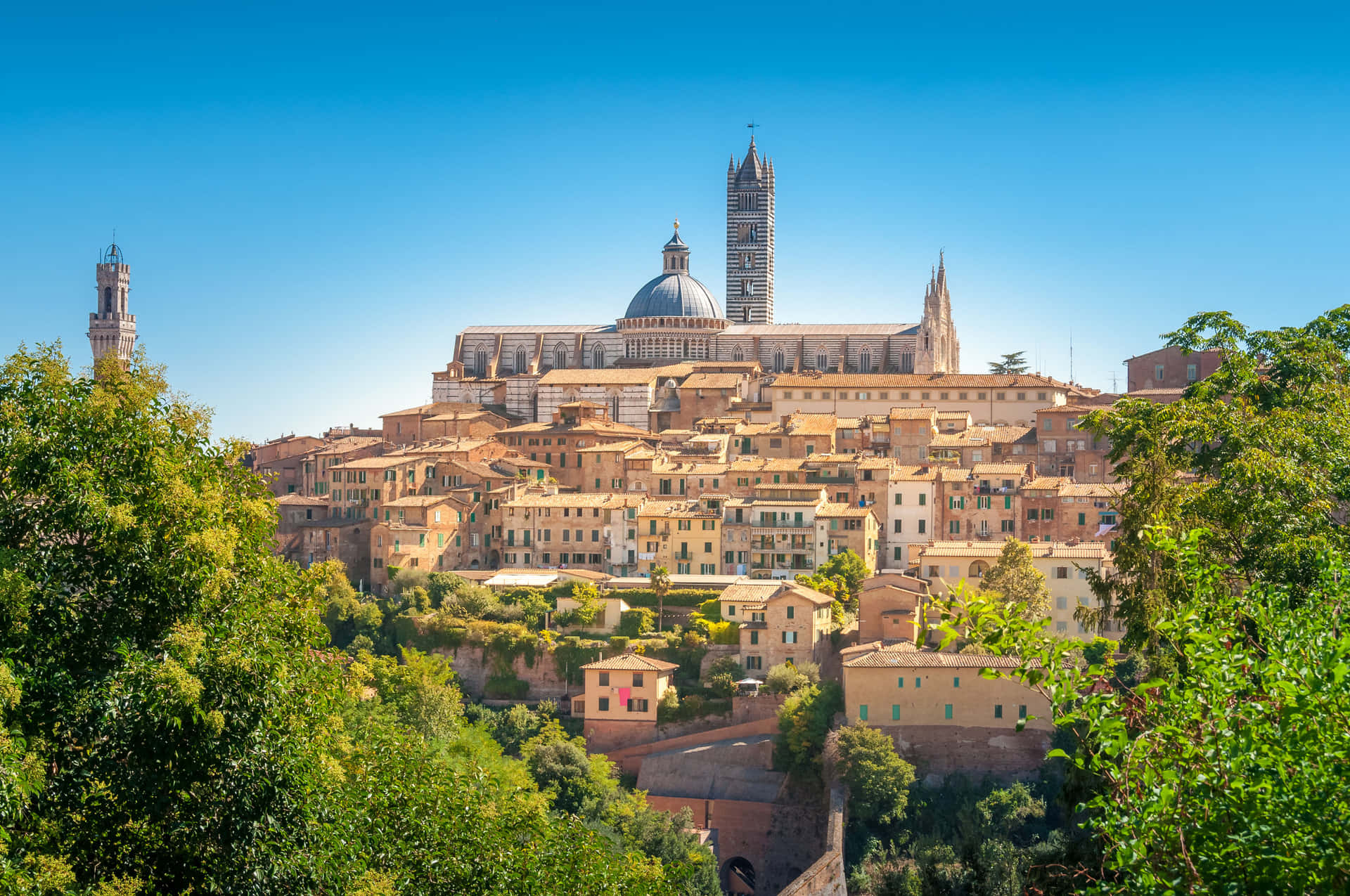 Medieval Buildings And Siena Cathedral Wallpaper