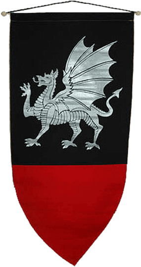 Medieval Dragon Banner PNG