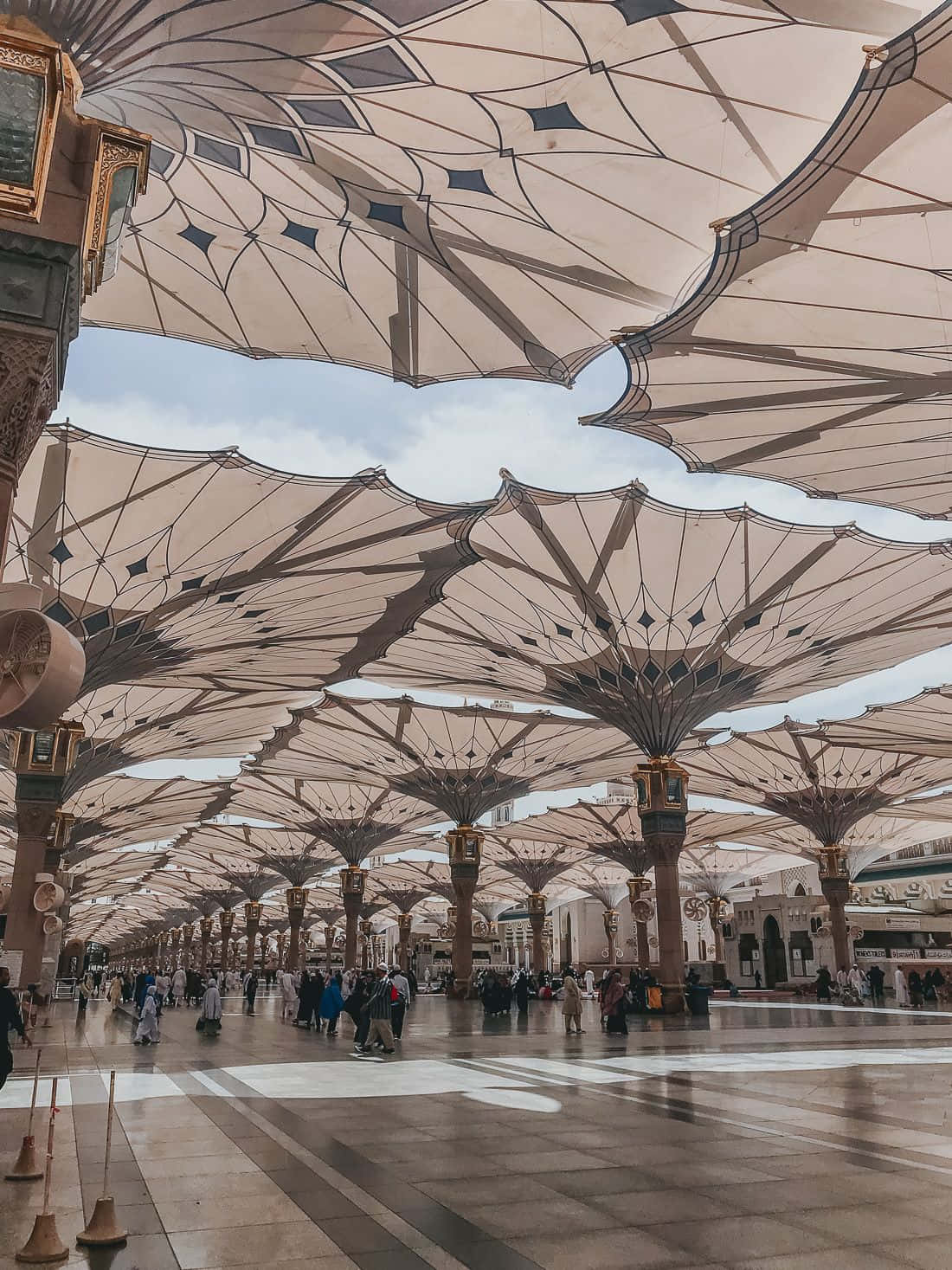 View of the enchanting city of Medina