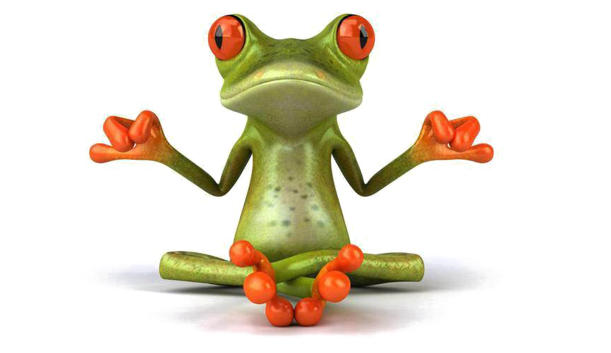 Meditating Frog Cartoon PNG