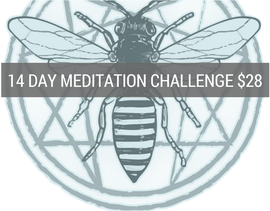 Meditation Challenge Mosquito Graphic PNG
