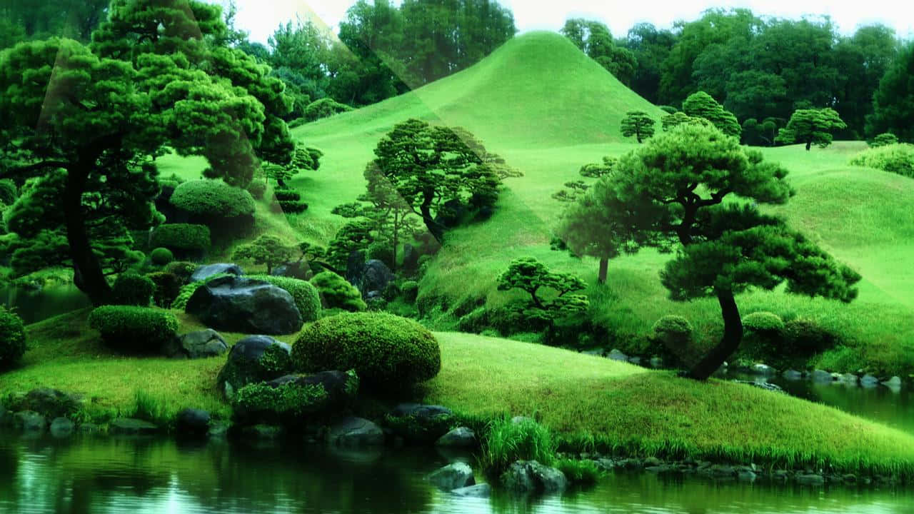 En grøn bakke med træer og en dam.