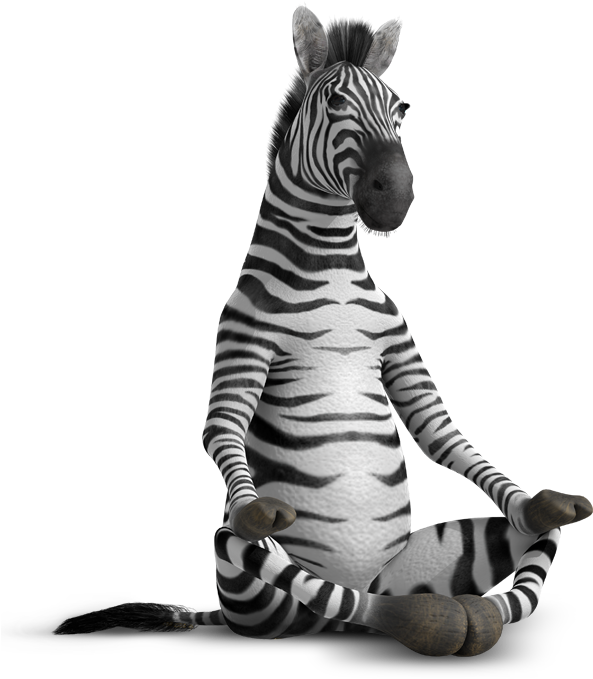 Meditative Zebra Crosslegged Pose PNG
