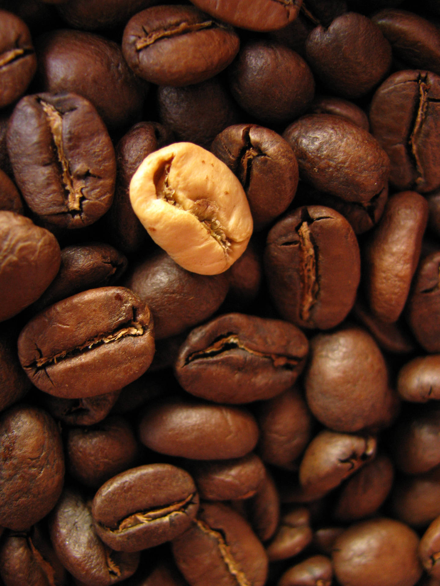 Medium Roast Coffee Beans Picture