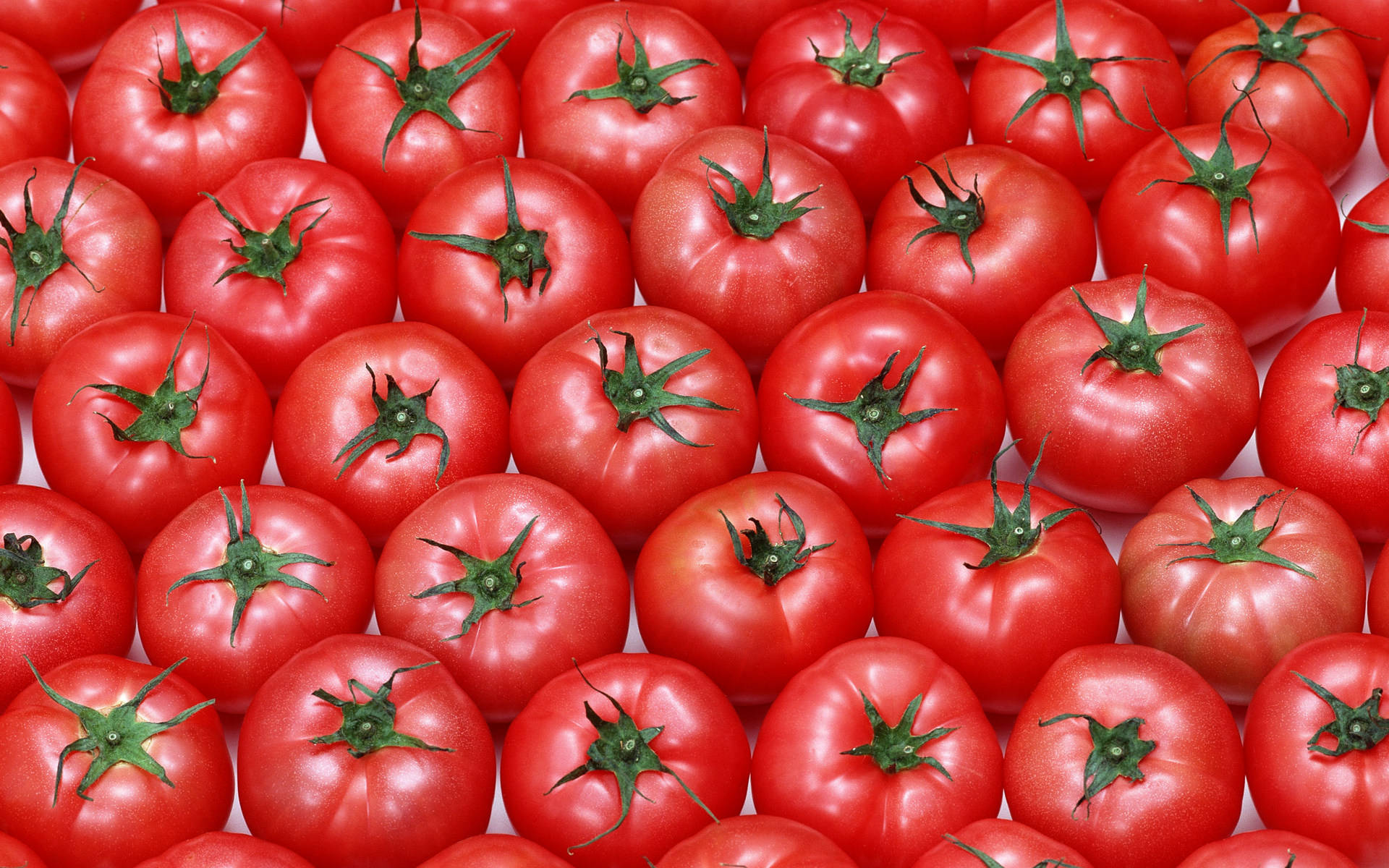 Medium Sized Tomato Fruits Background Wallpaper