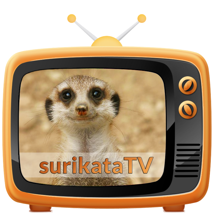 Meerkaton T V Icon PNG