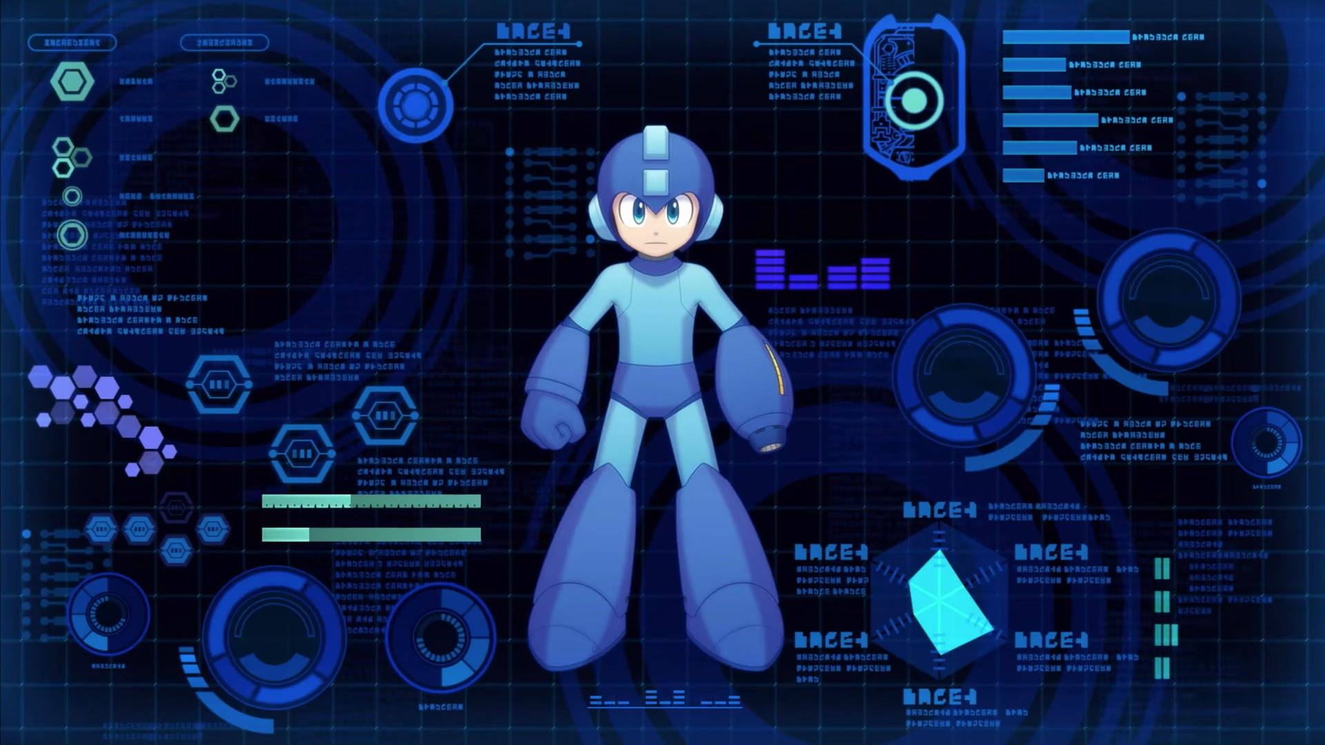 Mega Man Computer Data Wallpaper