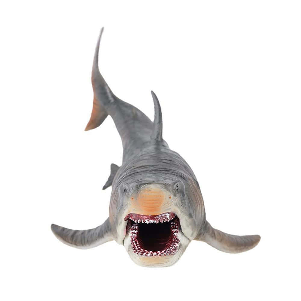 A Shark With Its Mouth Open On A White Background