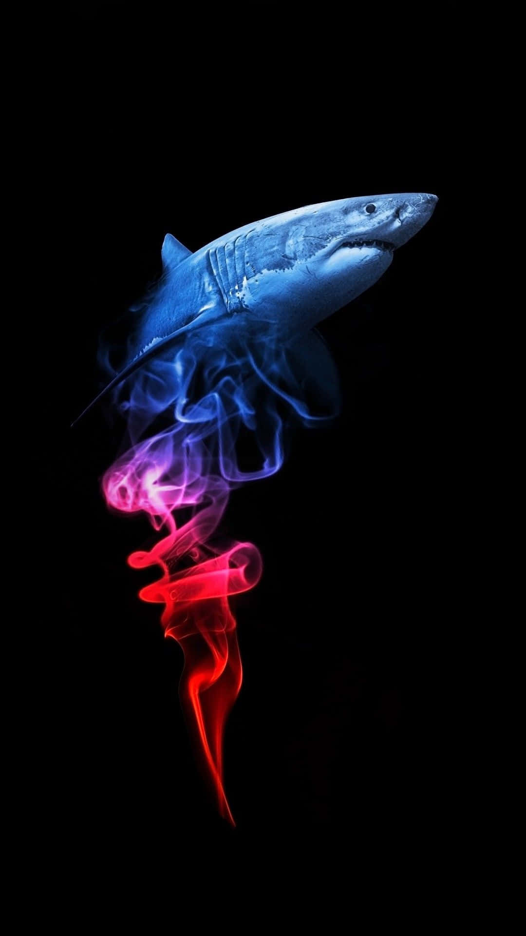 A Shark Is Flying In The Air With Smoke