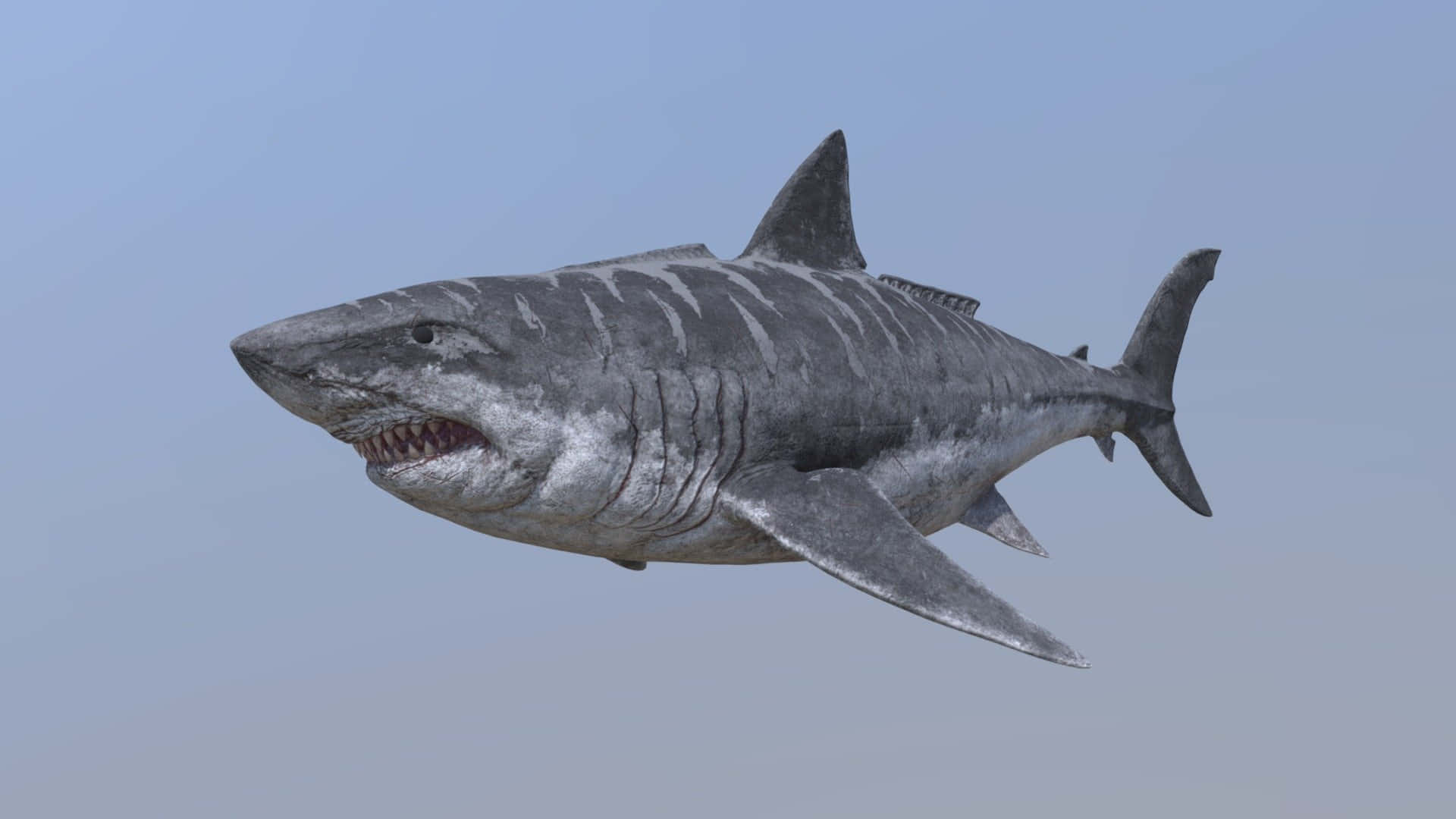 A 3d Model Of A Shark Flying In The Sky