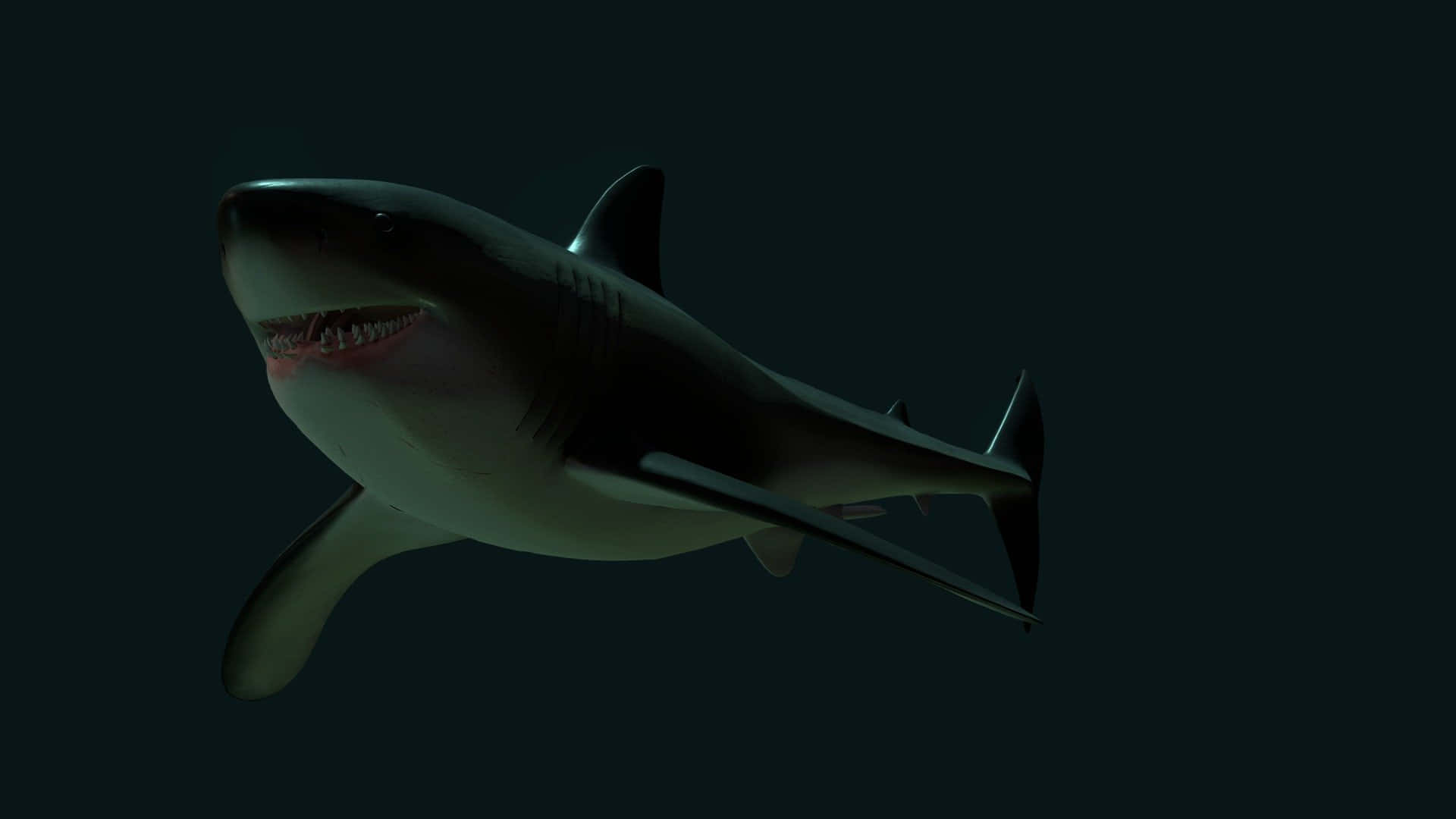 Elferoz Megalodón, Una Especie De Tiburón Prehistórico.