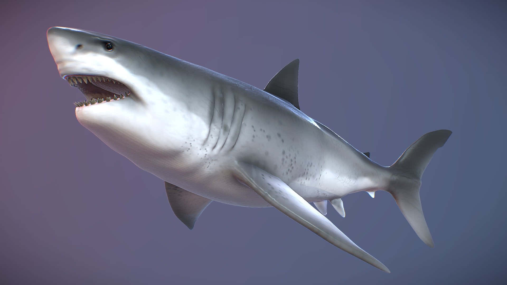 Unleash the Power of the Prehistoric Megalodon