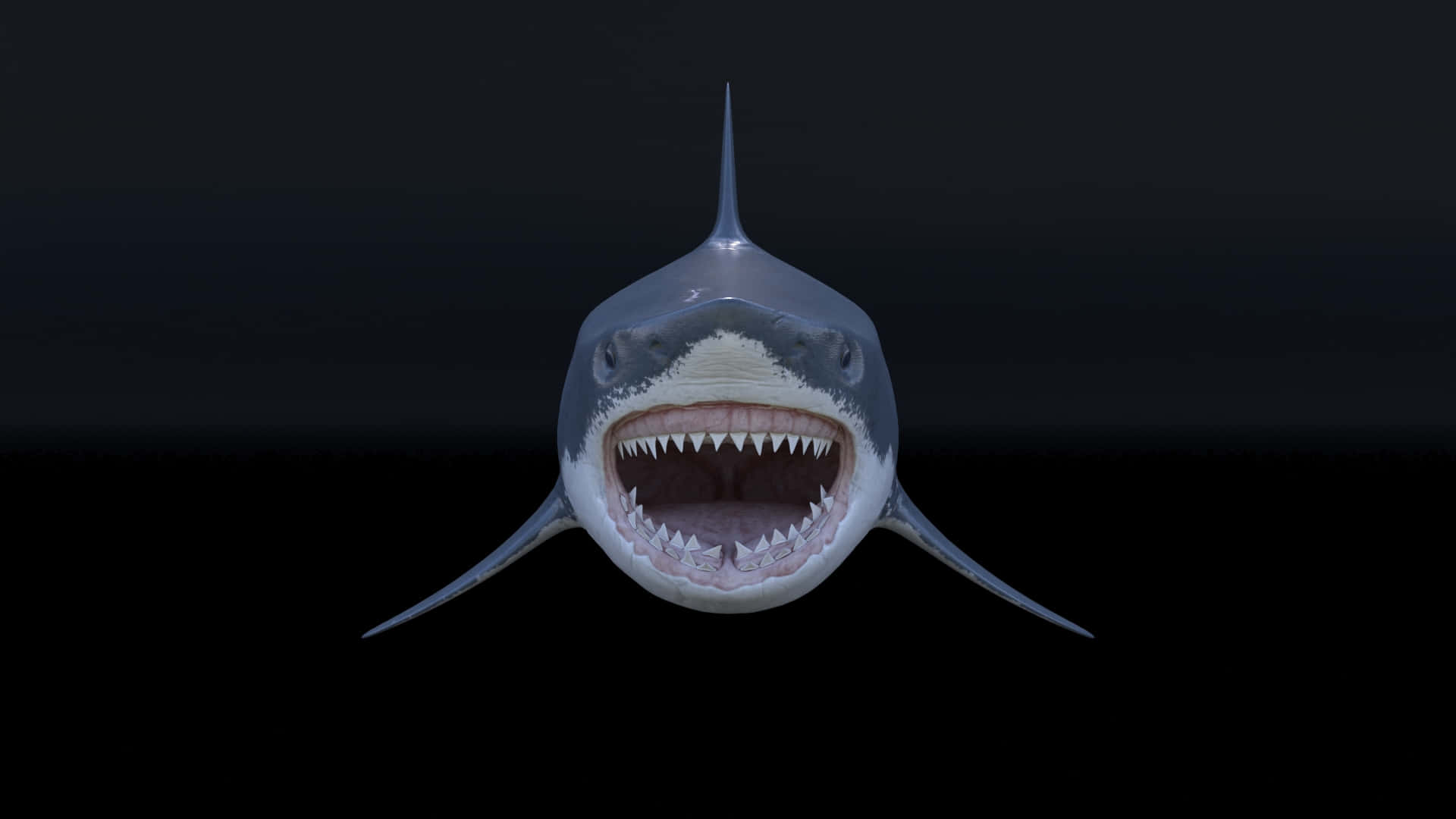 A Shark With Its Mouth Open On A Dark Background
