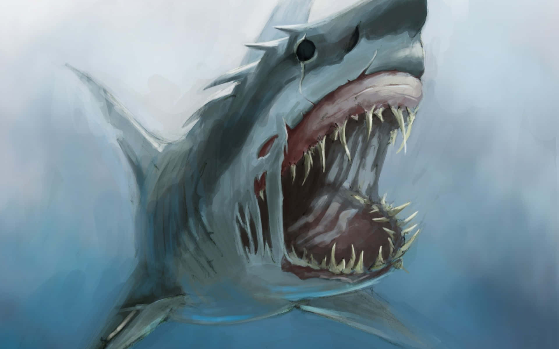 Megalodon Art With Sharp Teeth Picture
