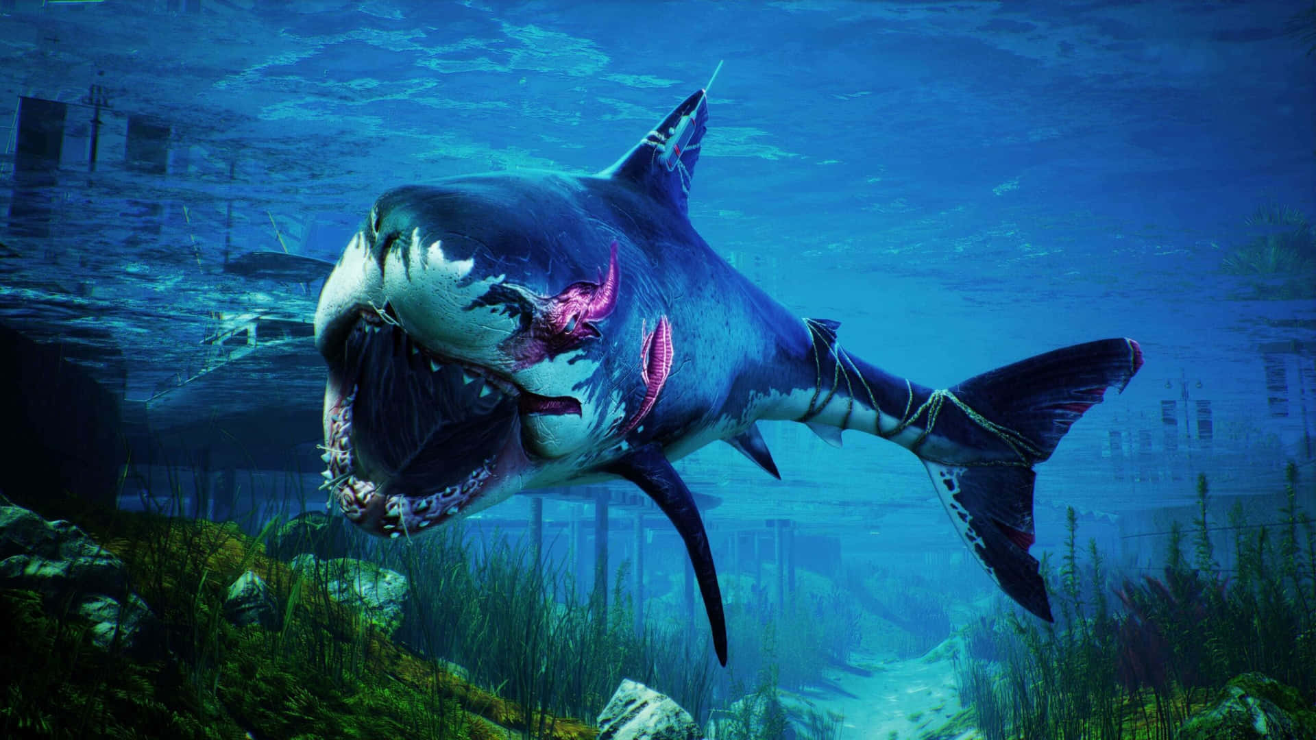 Megalodon With Purple Aesthetic Markings Picture