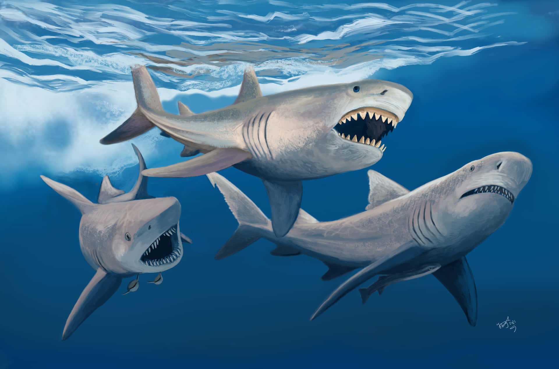 Megalodon Painting Swimming Underwater Picture