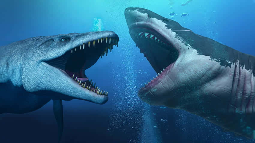 Megalodon And Alligator Roaring Picture