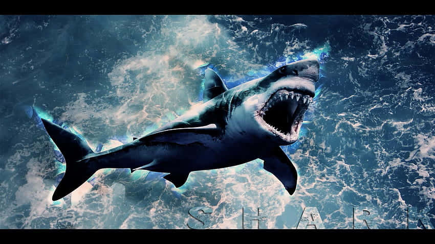 Megalodon Jumping Out Of Ocean Picture