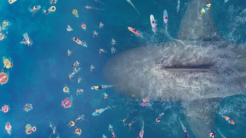 Megalodon Under Swimmers At Beach Picture