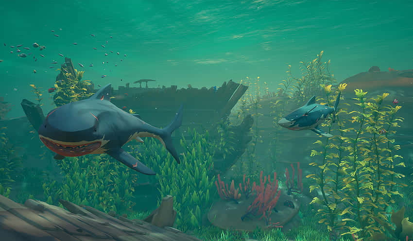 Megalodon Underwater With Algae Picture