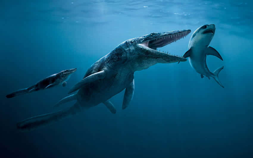 Imagende Un Megalodón Nadando Con Criaturas Marinas Aterradoras.