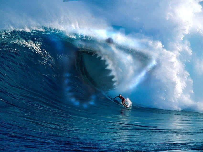 Imagende Megalodón Persiguiendo A Un Surfista En Las Olas.