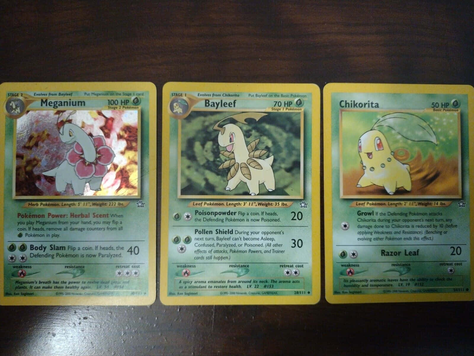 Meganium Pokemon Evolution Trading Cards Wallpaper