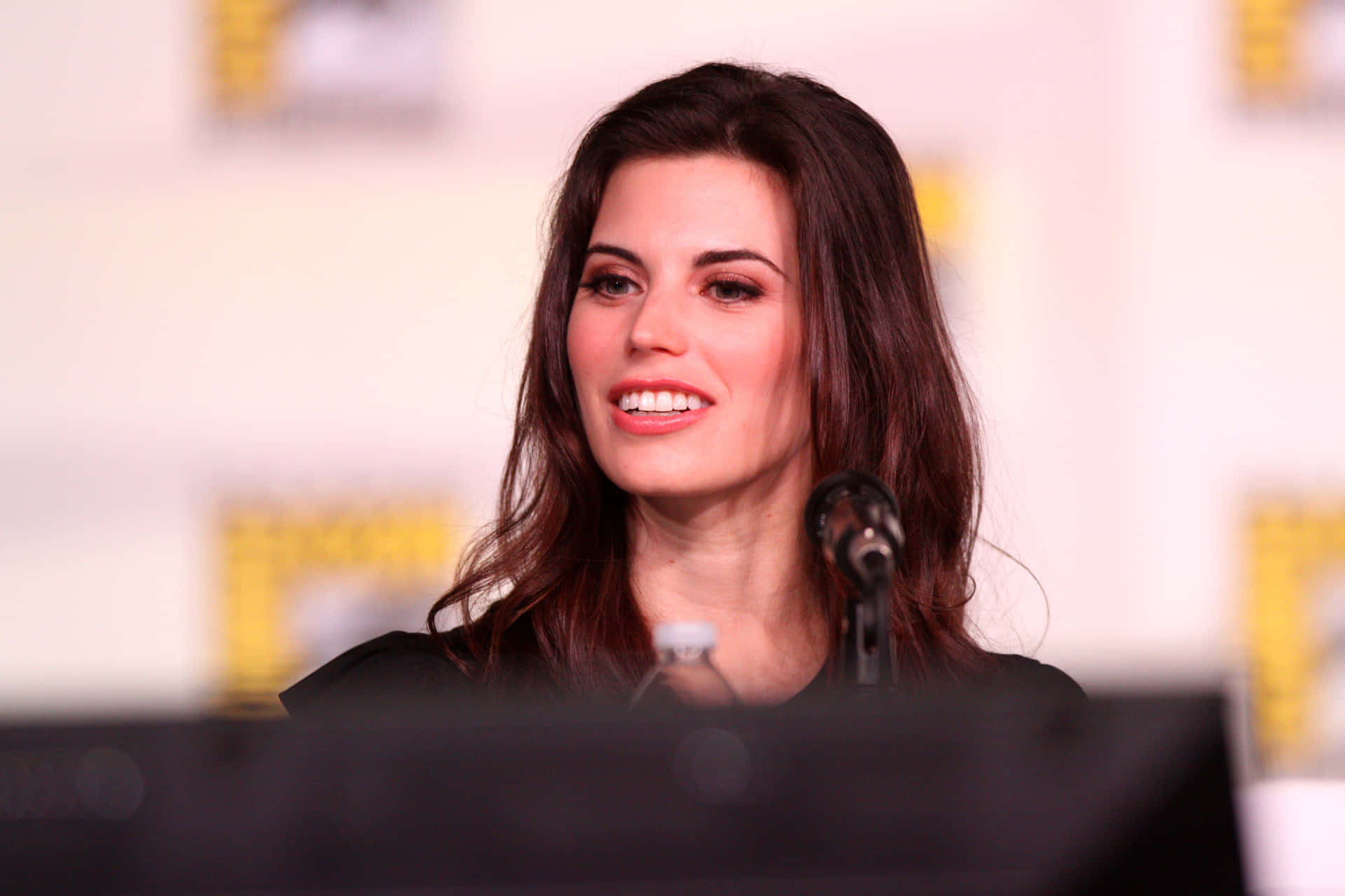 Meghan_ Ory_ Panel_ Discussion Wallpaper