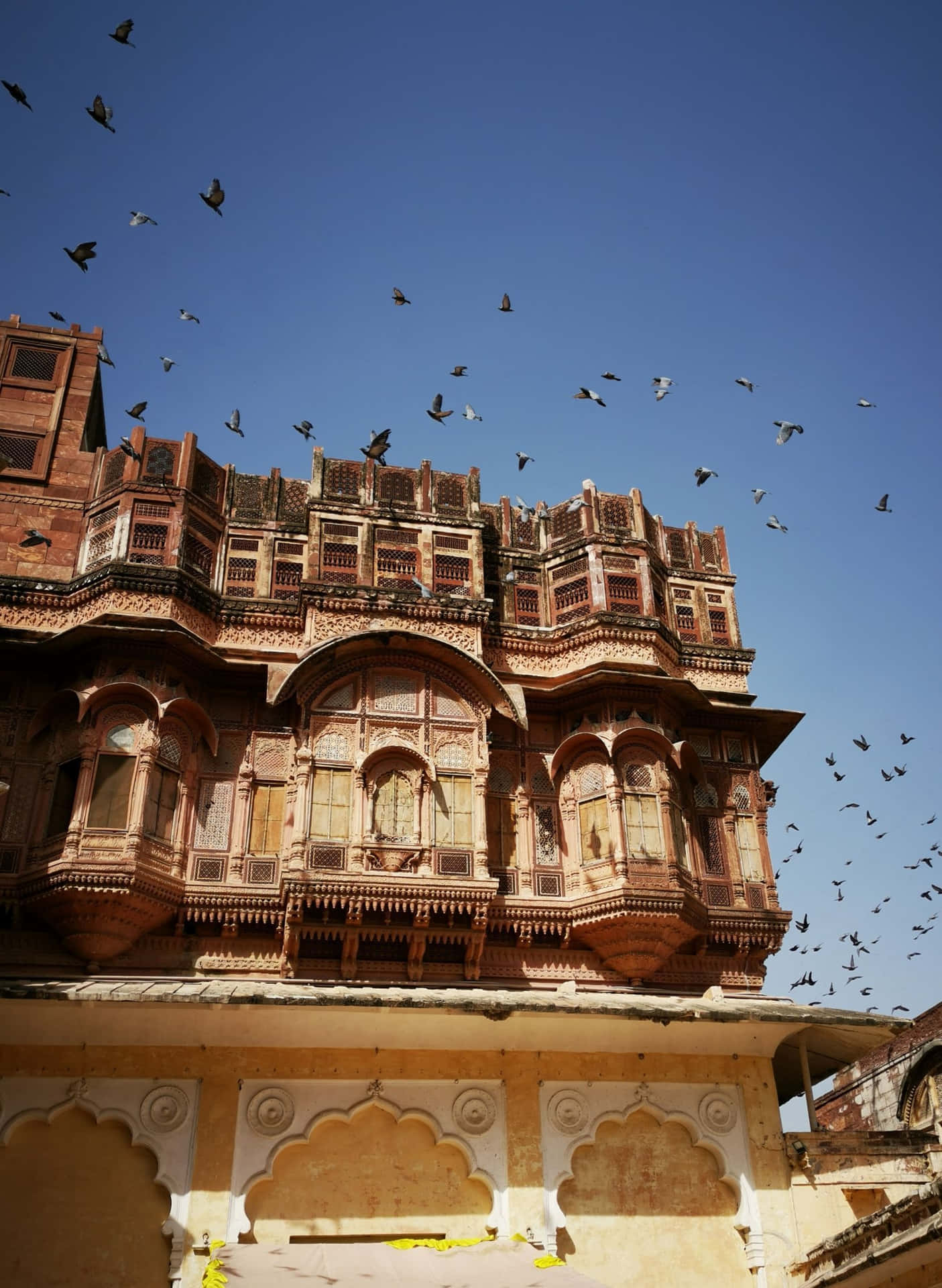 Mehrangarh Fort Birds Flying Background