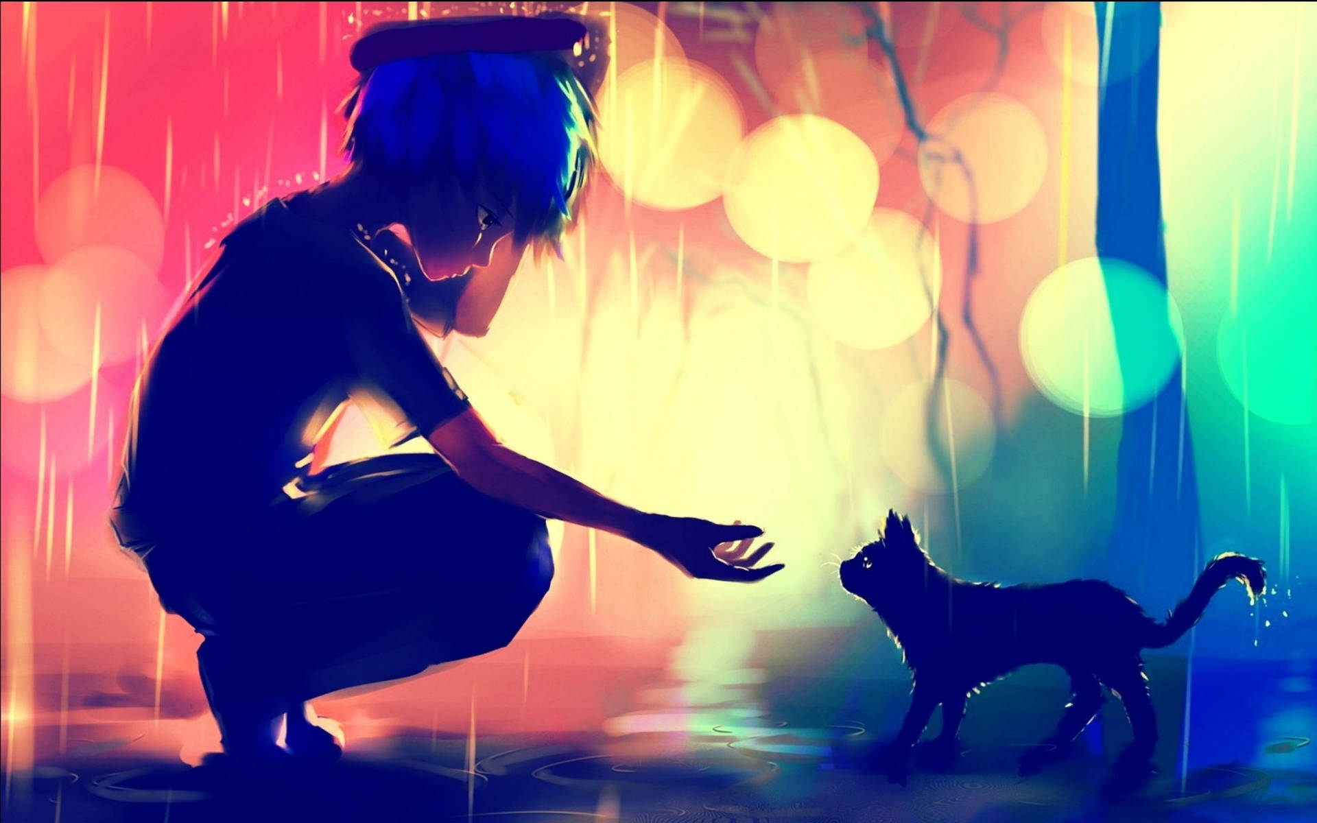 Caption: An Expression of Melancholy - Boy and Cat Wallpaper