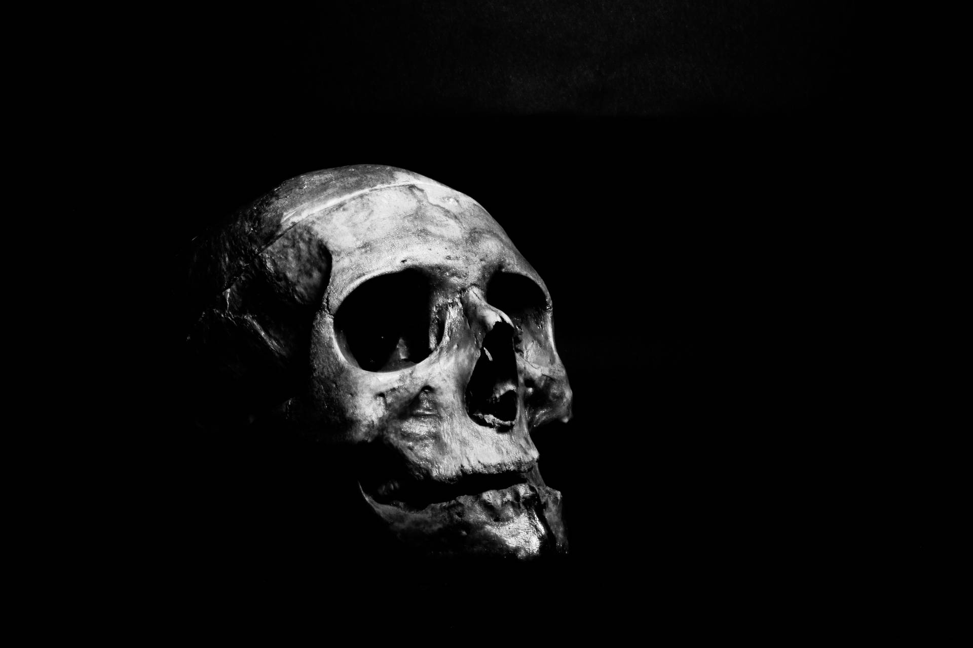 Embodying Melancholy: A Solemn Skull in Solitude Wallpaper