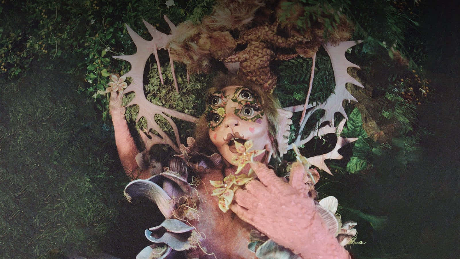 Melanie Martinez Forest Fantasy Wallpaper