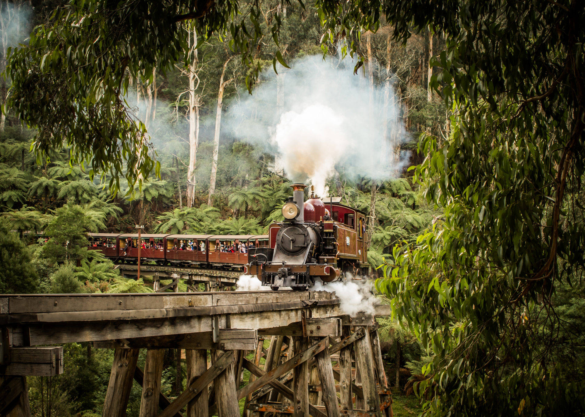 Melbourne Puffing Billy Railway Wallpaper