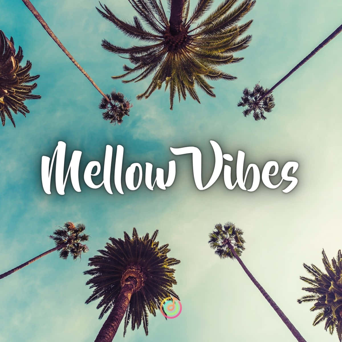 Mellow Vibes And Palm Trees Wallpaper