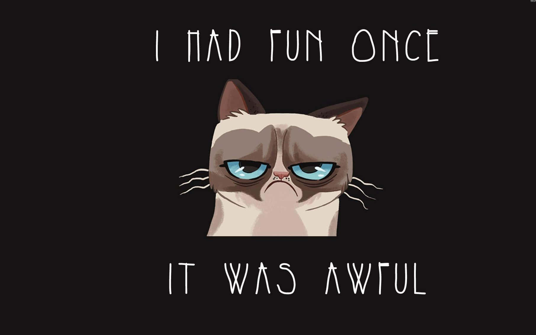 Grumpy Cat - I Had Fun Once It Was Awful Wallpaper