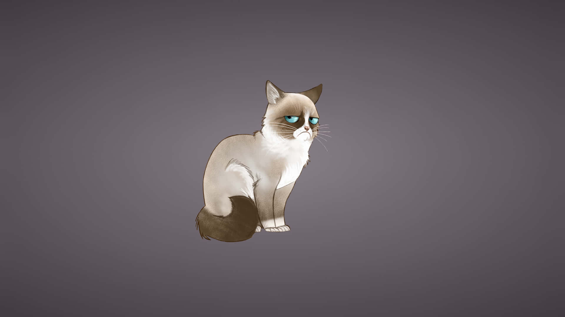 Siamese Cat Meme Laptop Judging Drop Eyes Wallpaper