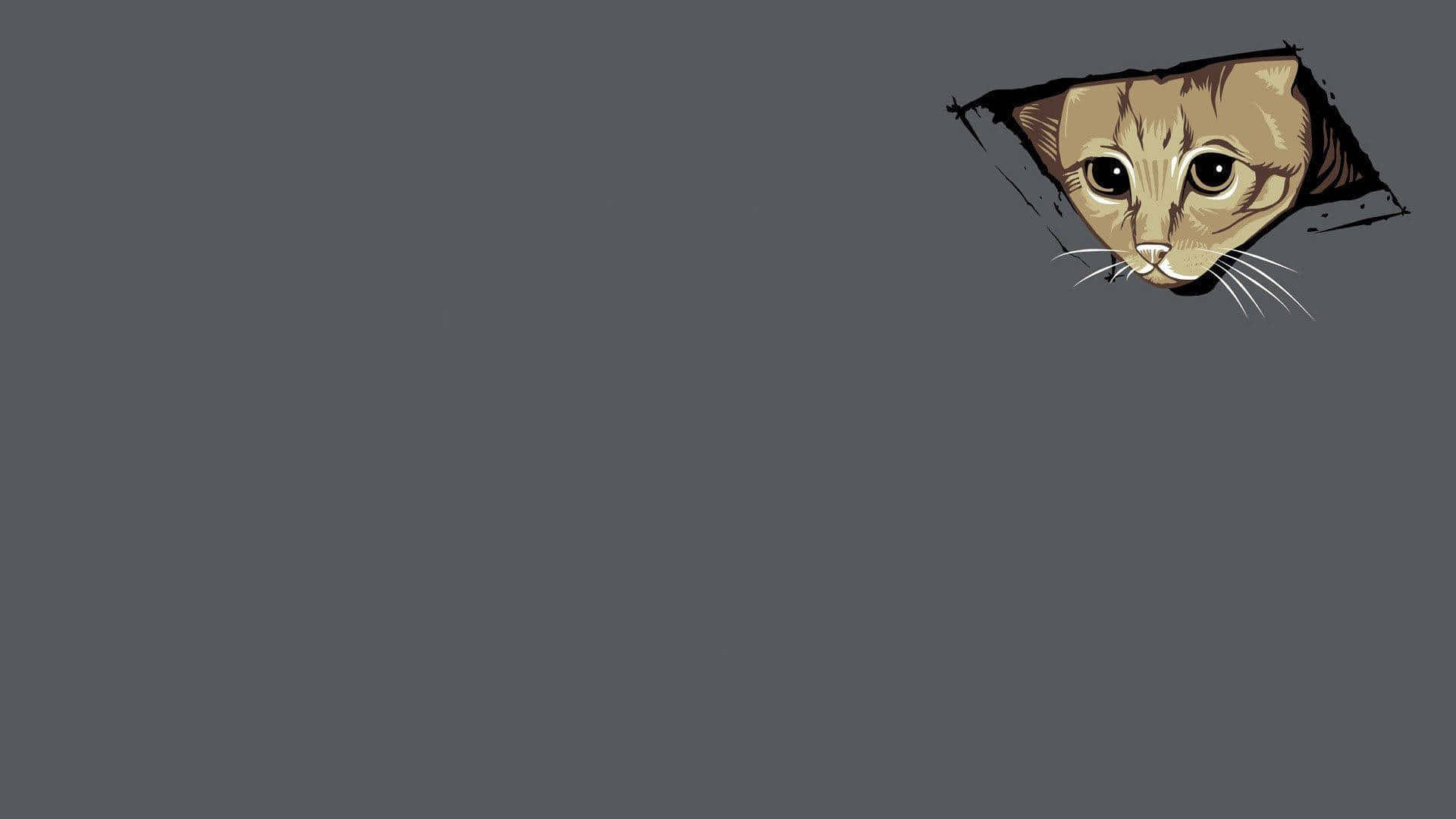 Gazing Cat Meme Laptop Wallpaper