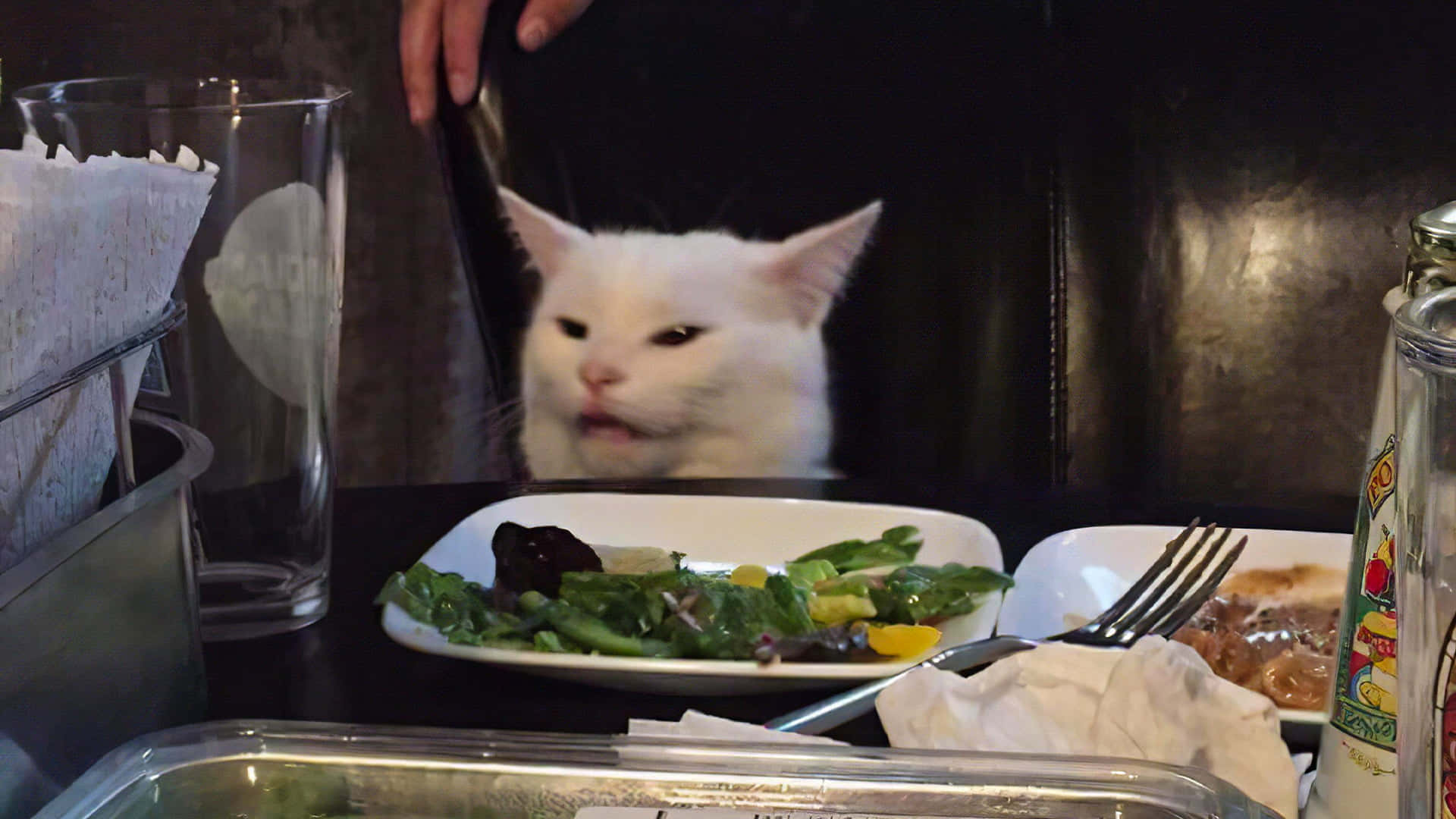 Imagendivertida De Un Gato Meme En Una Mesa De Comedor.