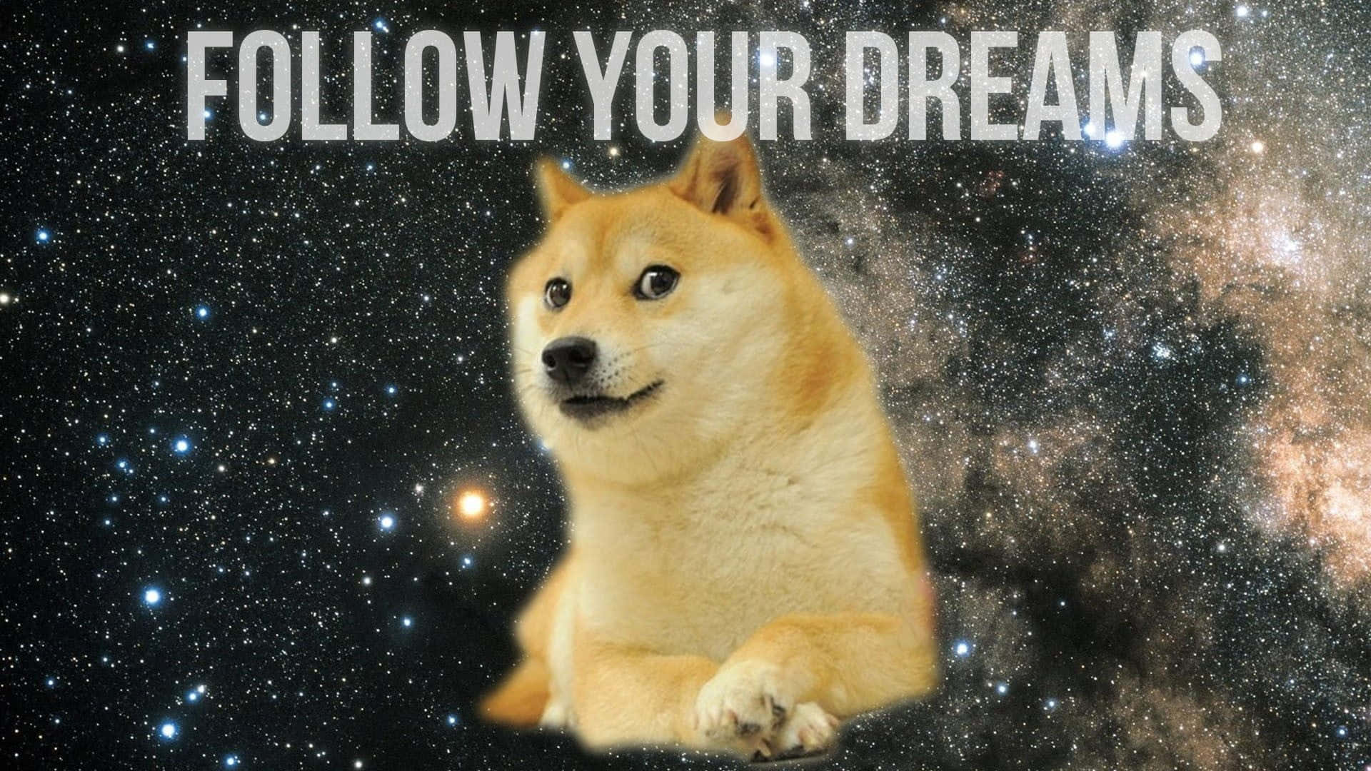 Meme Shiba On Galaxy Picture