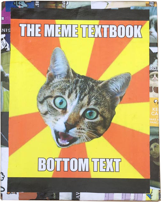 Meme Textbook Cat.jpg PNG