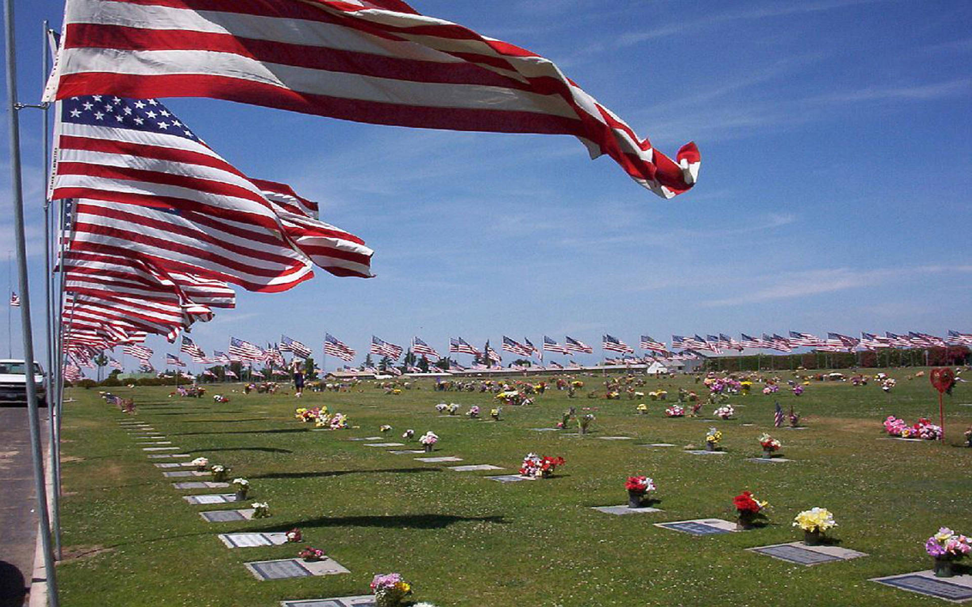 Memorial Day Flags At Cemetery
