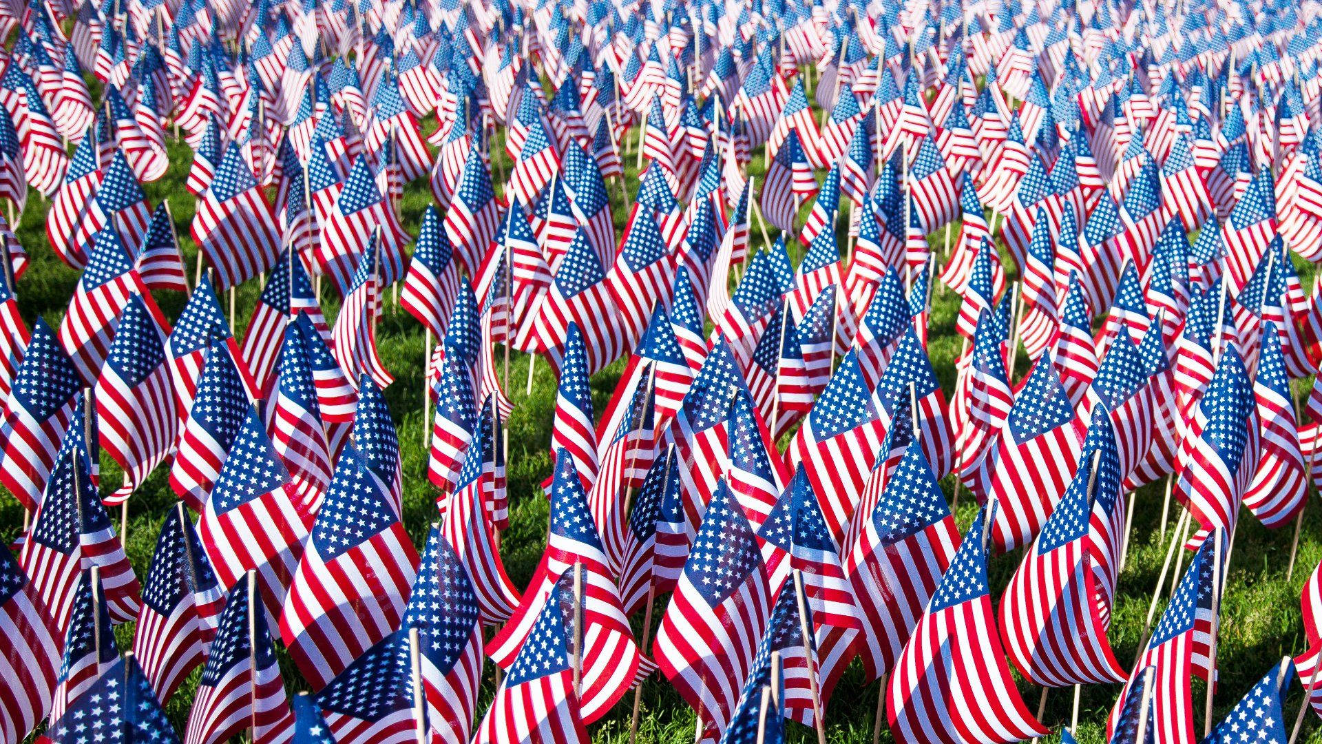 Memorial Day Flags On Grass