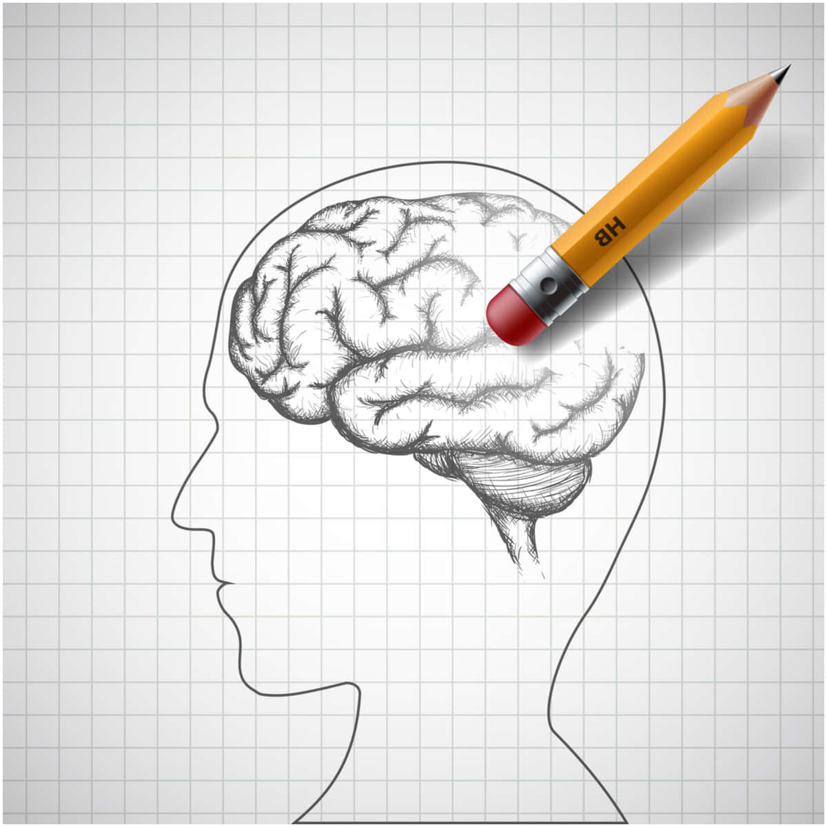 A Pencil Is Drawn On The Head Of A Human Brain