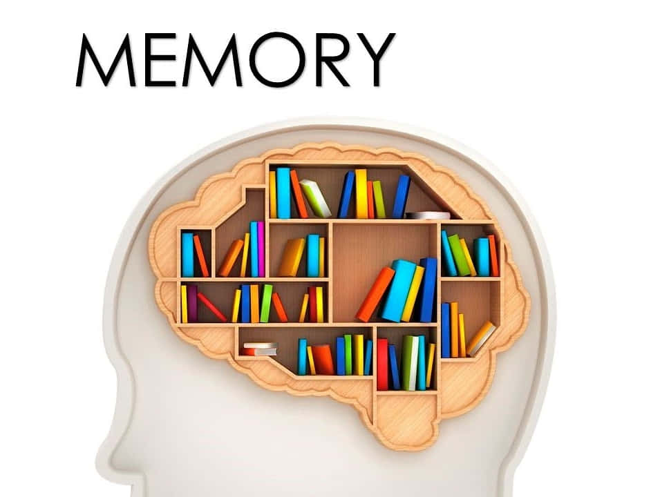 A Human Head With Books In It And The Words Memory